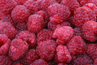 raspberry fruit HD wallpaper