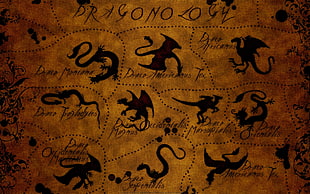 brown and black floral textile, dragon