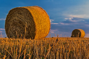 haystacks under blue skies