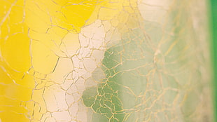 shallow focus photo of broken glass