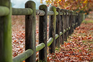 black wooden fence HD wallpaper