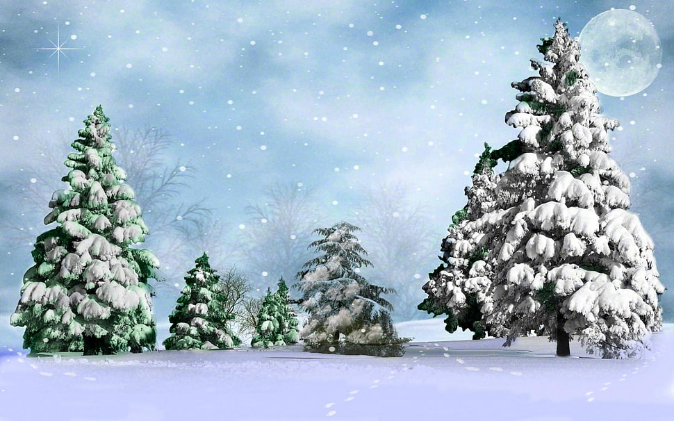 blue and white pine tree animated illustration HD wallpaper