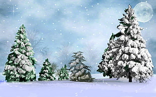 blue and white pine tree animated illustration