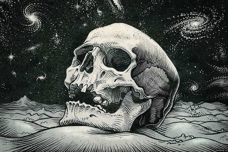 gray human skeleton with galaxy background illustration HD wallpaper