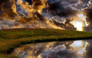 green grass field near body of water during golden house HD wallpaper