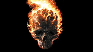 fireskull illustration