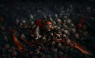 photography of skull HD wallpaper