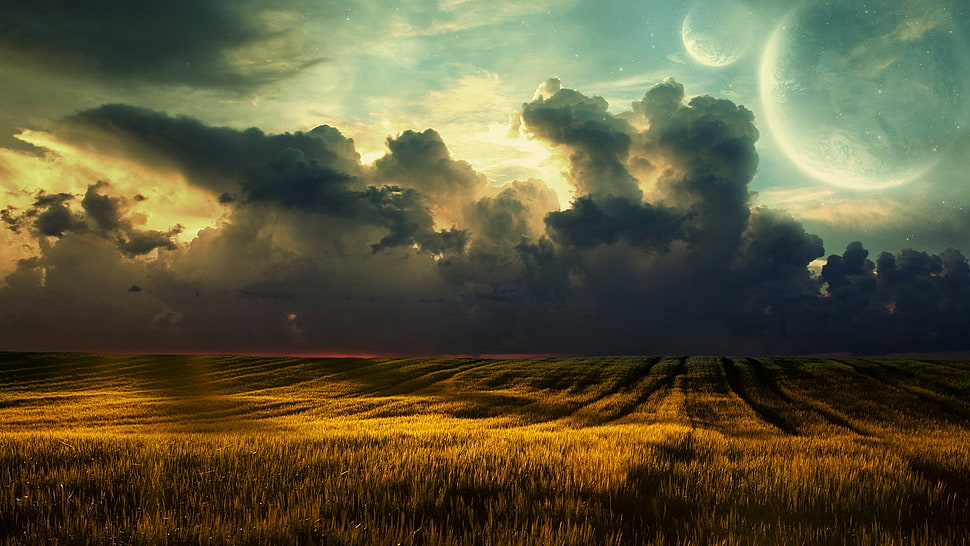 grass field under cumulus clouods HD wallpaper