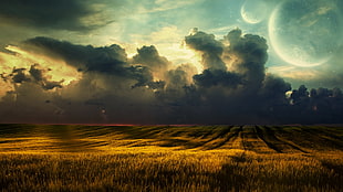 grass field under cumulus clouods