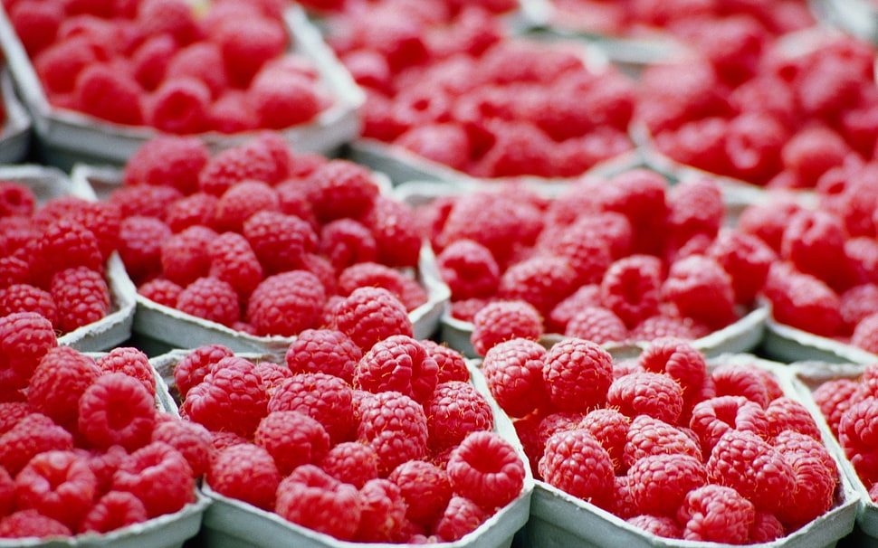 red cherries HD wallpaper