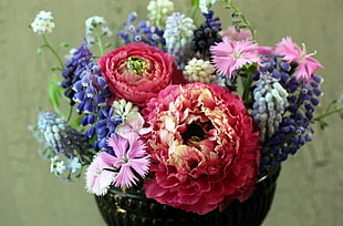 purple, pink, and red grape Hyacinth, Dianthus, and Ranunculus flowers