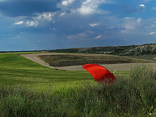landscape photography of red umbrella on green grass field