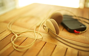 pair of brown leather sandals, headphones