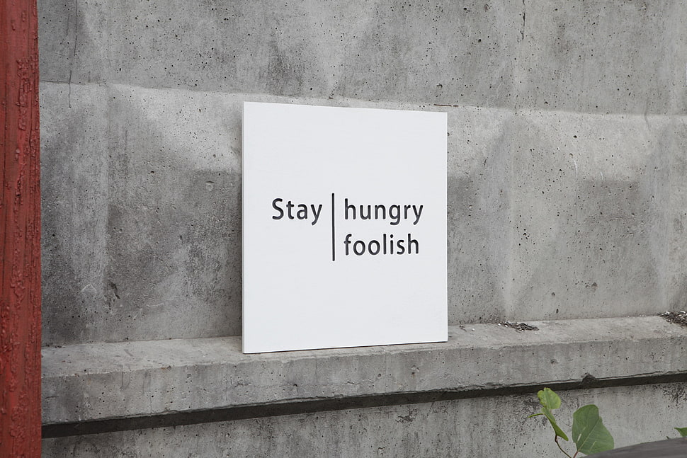 stay hungry foolish text signage, minimalism, quote, Steve Jobs HD wallpaper