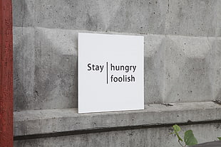stay hungry foolish text signage, minimalism, quote, Steve Jobs HD wallpaper