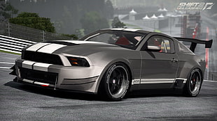 grey Ford Mustang coupe, car