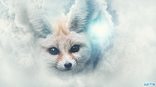 white fox digital wallpaper, DeviantArt, fennec, smoke