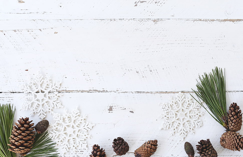 pinecones on white wooden surface HD wallpaper