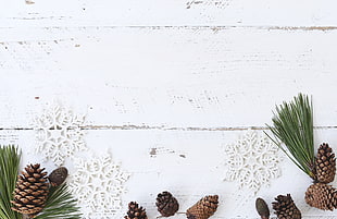 pinecones on white wooden surface