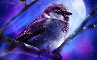 brown Sparrow under fullmoon painting
