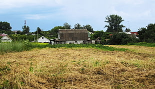 brown and white concrete house, Russia, summer, grass, horizon