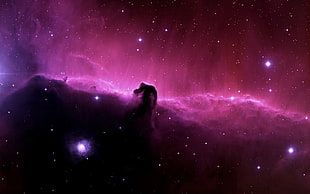 purple and black galaxy, space, galaxy, Horsehead Nebula, digital art