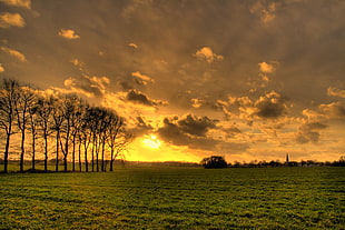 greenfield grass with trees beside under cloudy sky at during \sunset, dutch