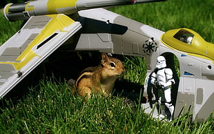 brown squirrel with Star Wars toy figures on green lawn