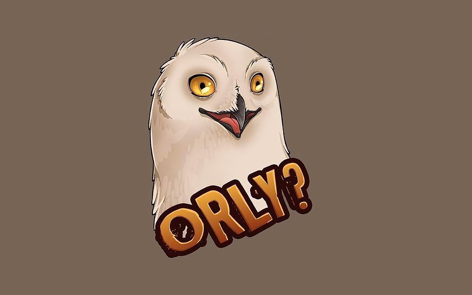 owl illustration, owl HD wallpaper