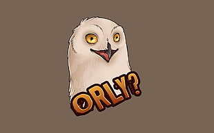 owl illustration, owl