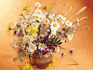 variety of flowers