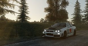 white Nissan Skyline GT-R R34 coupe, video games, The Crew, Nissan Skyline GT-R R34, Japanese cars
