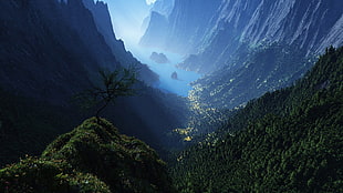 green trees, mountains, nature, landscape, canyon
