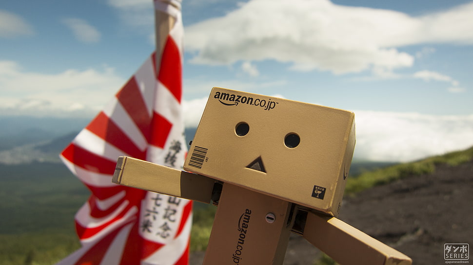 brown Amazon box robot, Danbo, Amazon, cherry blossom, spring HD wallpaper