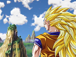 Son Goku super saiyan 3 HD wallpaper
