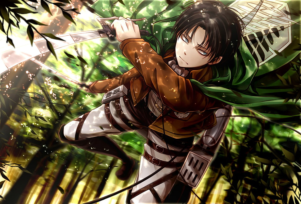 Levi Ackerman, Shingeki no Kyojin, medieval, Levi Ackerman HD wallpaper