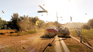 red and gray cars, Forza Horizon 2, video games, car HD wallpaper