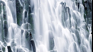 long exposure photograph of waterfall, waterfall, water, nature HD wallpaper