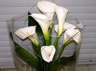 closeup photo of calla lilies bouquet