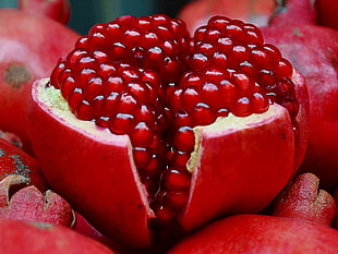 selective focus photography of red Pomegranate HD wallpaper