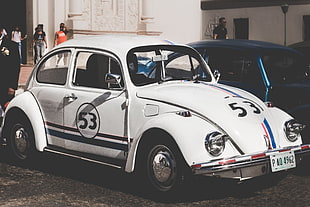 white Volkswagen Beetle HD wallpaper