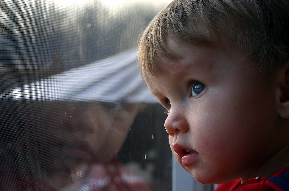 blond haired toddler looking outside glass window during daytime HD wallpaper