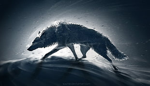 wolf digital wallpaper, animals, wolf
