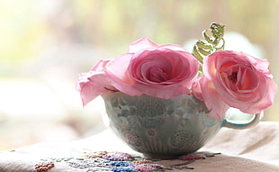 pink roses in gray ceramic mug