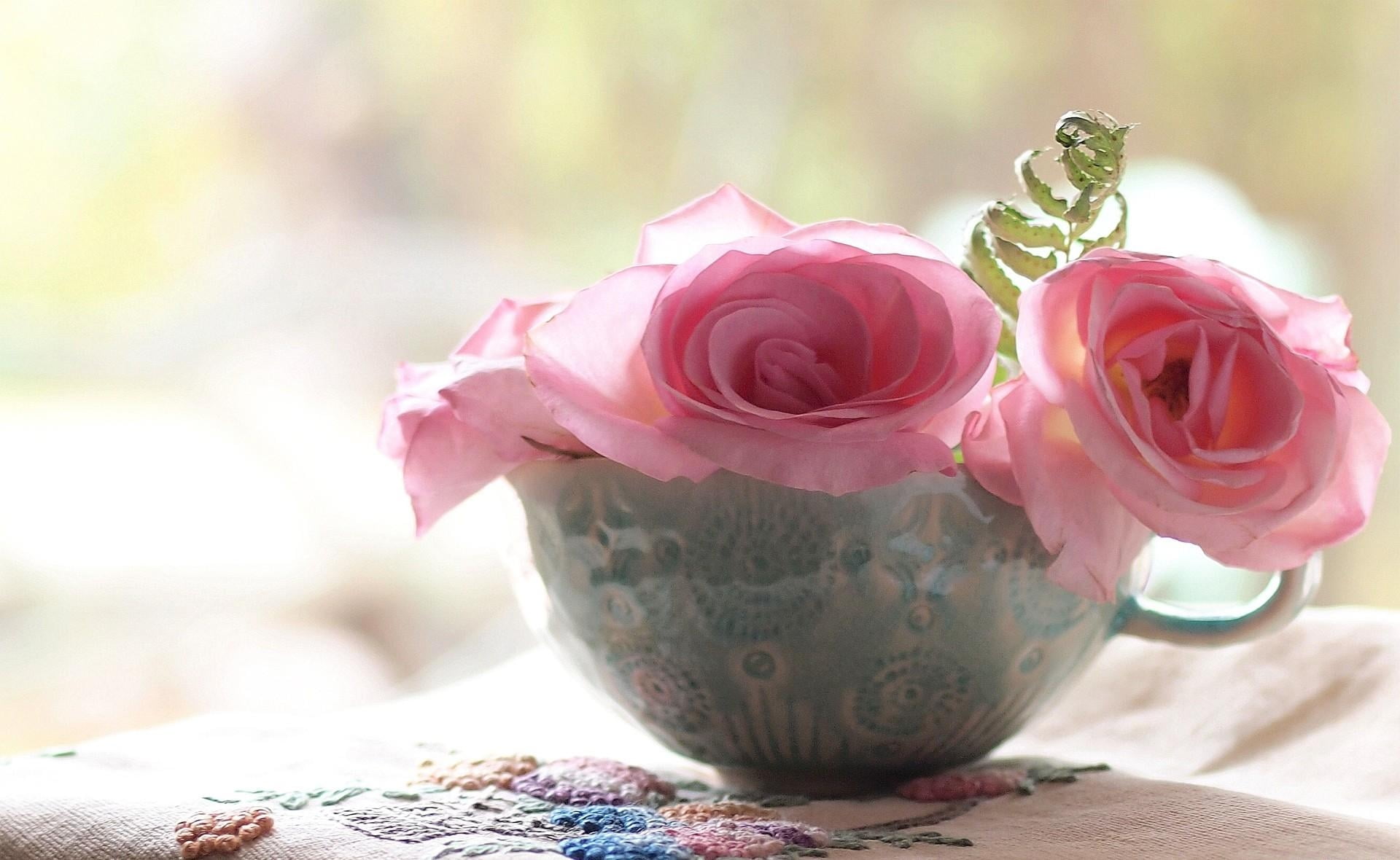 pink roses in gray ceramic mug