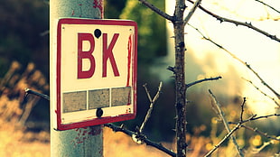 red and white BK signage, sign, trees HD wallpaper