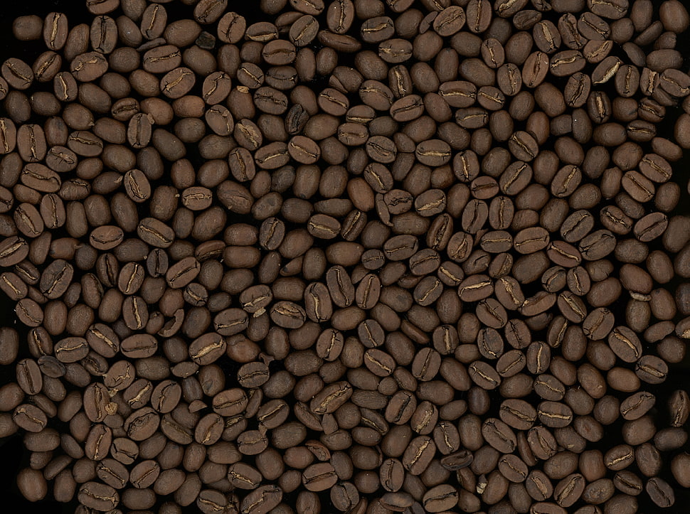 coffee beans HD wallpaper
