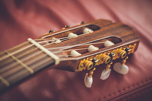 close up photo of classic guitar headstock HD wallpaper