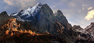 brown mountain, mountains HD wallpaper