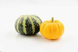 squash beside pumpkin